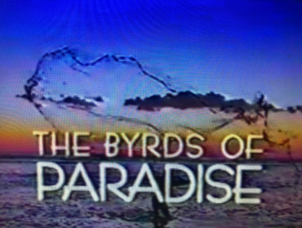 File:Byrd.png