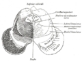 Thumbnail for version as of 15:51, 25 March 2026
