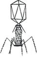 Thumbnail for version as of 02:16, 22 March 2024