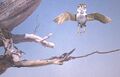 Thumbnail for version as of 15:50, 25 March 2026