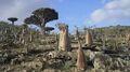 Thumbnail for version as of 02:16, 22 March 2024