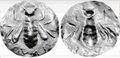 Thumbnail for version as of 17:52, 18 February 2025