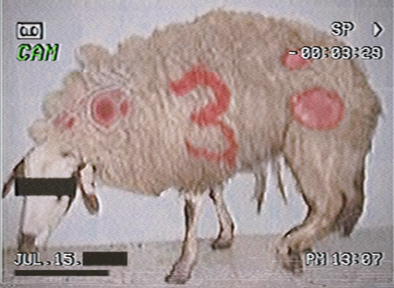 File:IMG 6526.png